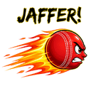 Jaffer cricket sticker